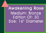 Awakening Rose